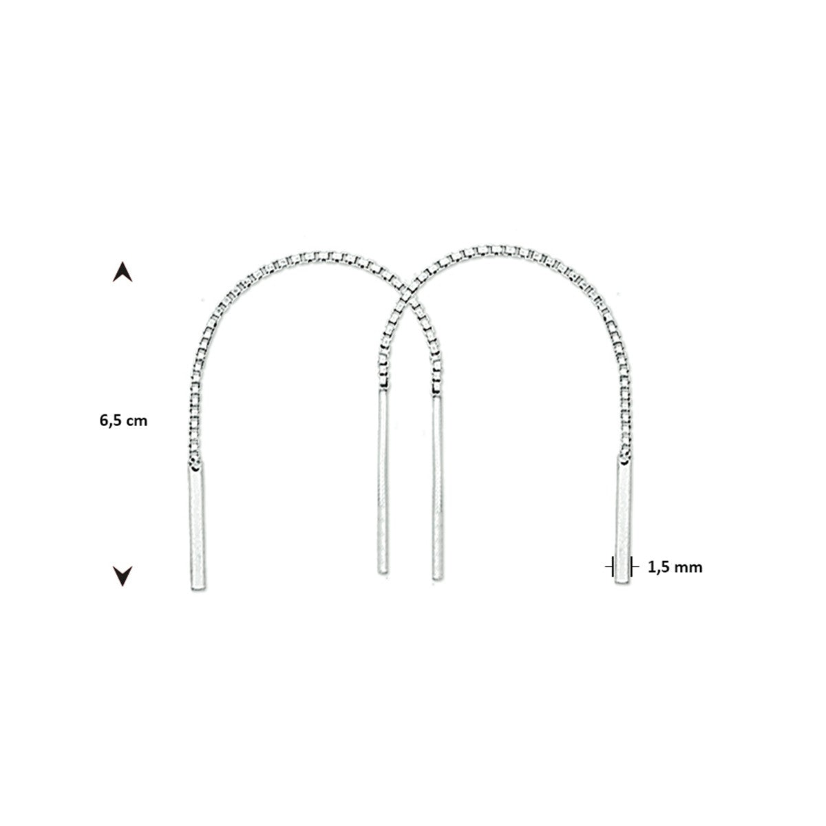 Zilver Doortrekoorbellen 1005962