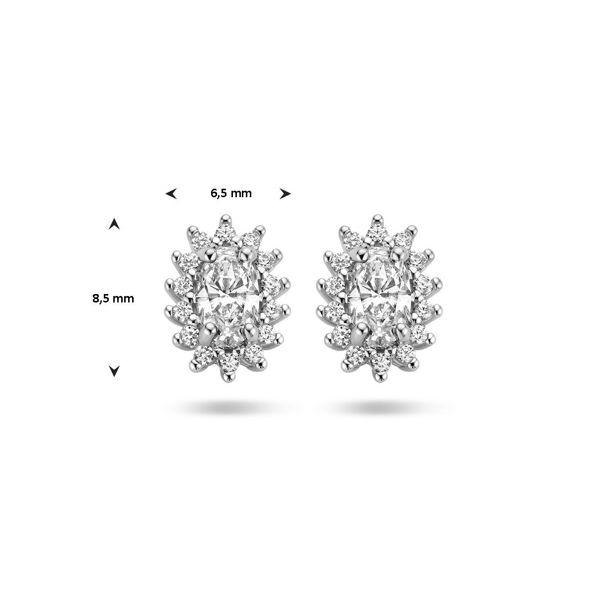 Zilver Gerhodineerd Oorknoppen Zirkonia Halo 1336570