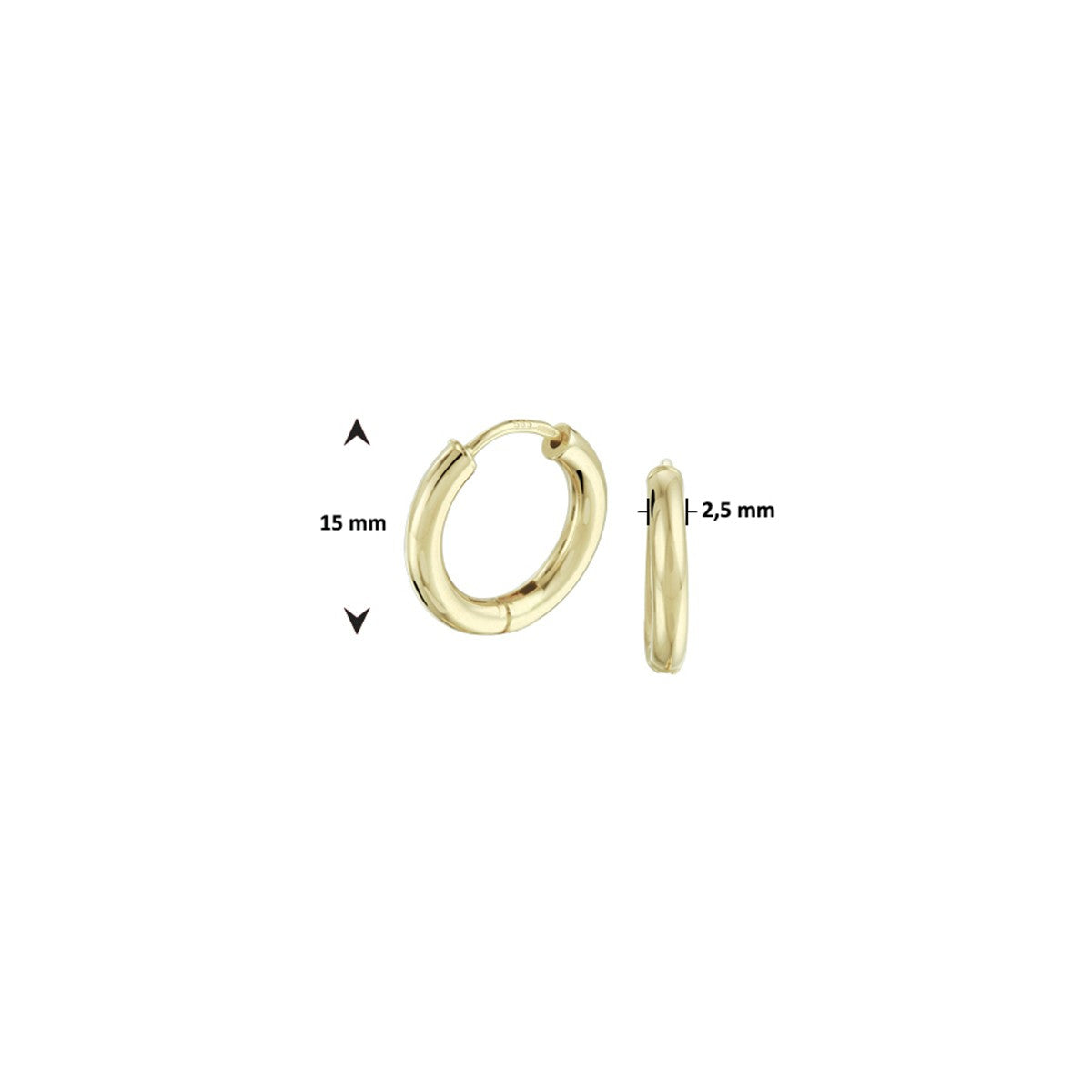 14K Geelgoud Klapoorringen 2,5 MM Ronde Buis 4001660