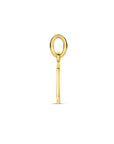 14K geelgoud graveerhanger 4006547