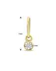 14K geelgoud hanger rond zirkonia 4023840