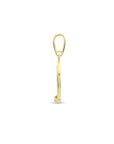 14K geelgoud hanger rond zirkonia 4023841