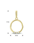 14K geelgoud hanger rond zirkonia 4023841