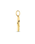 14K geelgoud hanger rond 4024423