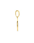 14K geelgoud hanger rondje 4028288