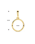 14K geelgoud hanger rondje 4028288