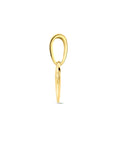 14K geelgoud graveerhanger hart hondenpoot 4024440