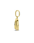 14K geelgoud hanger rondje 4025070