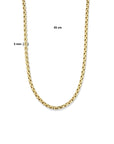 14K geelgoud collier 5,0 mm 45 cm 4025214