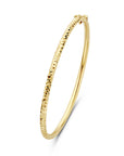 14K Geelgoud Bangle Scharnier Gediamanteerd 3,0 Mm 60 Mm 4028420