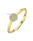 14K Geelgoud Ring Diamant 0.09Ct H Si 4028655