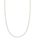 14K geelgoud collier parels 2,8 mm 40 + 5 cm 4028710