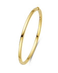 14K Geelgoud Bangle Scharnier Vlakke Buis 3,0 X 60 Mm 4032110