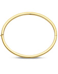 14K Geelgoud Bangle Scharnier Vlakke Buis 3,0 X 60 Mm 4032110