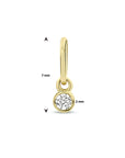 14K geelgoud hanger zirkonia 4032524