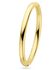 14K Geelgoud Bangle Scharnier Ronde Buis 6,0 X 60 Mm 4032788