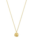 14K geelgoud collier roos 41 - 45 cm 4033023