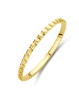 14K geelgoud Ring 14K Geelgoud - 4033348