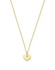 14K Geelgoud Collier Hartje En Zirkonia 40 - 42 - 44 Cm - _