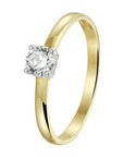 14K Bicolor Gouden ring Gepolijst | 4208272