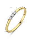 14K Bicolor Geel- En Witgoud Geel/Wit Memoire Ring Trilogie Diamant 0.09Ct H Si 4208922