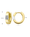 14K Bicolor Goud Geel/Wit Klapoorringen Diamant 0.07Ct (2X0.035Ct) H Si 4208984