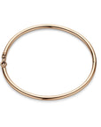 14K Roségoud Bangle Scharnier Ronde Buis 3 X 60 Mm 4400667