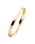 bangle scharnier massief vlakke buis 5,0 mm Zilgold (geelgoud met zilverkern)