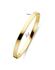 Zilgold (Geelgoud Met Zilverkern) Bangle Scharnier Massief Vlakke Buis 5,0 mm 5000049