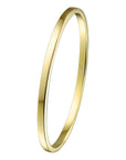 Zilgold (Geelgoud Met Zilverkern) Bangle Scharnier Massief Vlakke Buis 3 X 61 Mm 5000139