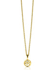 Zinzi gold plated zilveren Waterman sterrenbeeldhanger bezet met witte zirkonia ZIHY-WAT (zonder collier)